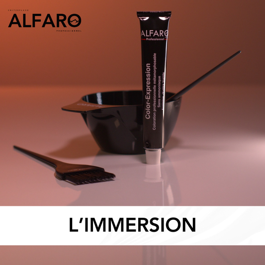 IMMERSION ALFARO PROFESSIONNEL – 09.03.26