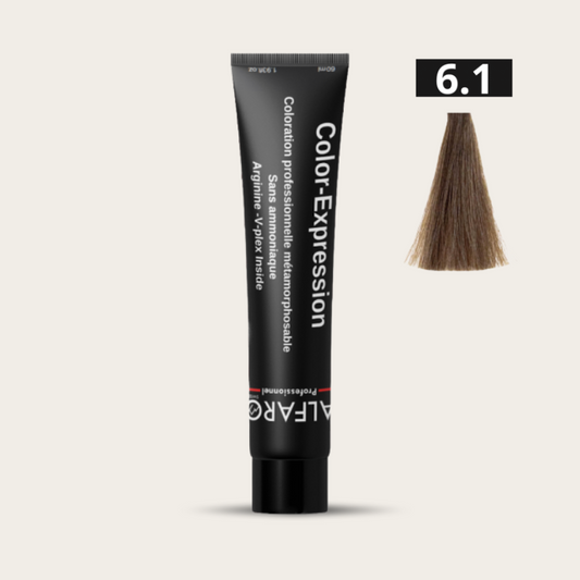 COLOR-EXPRESSION 6.1 CENDRE