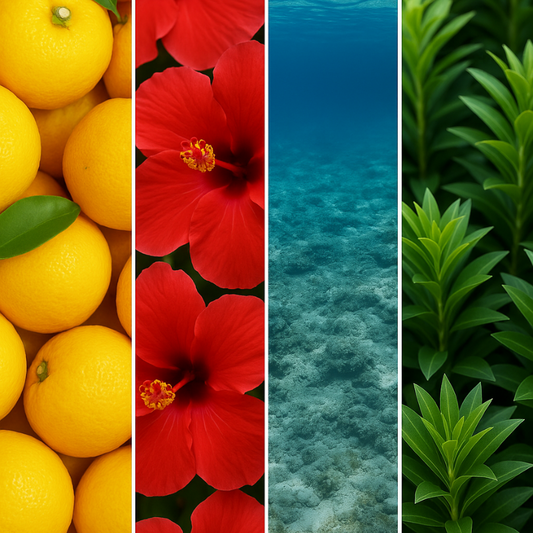 SCALP FUSION SHAMPOO Antipelliculaire 900 ML