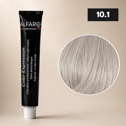 COLOR-EXPRESSION 10.1 BLOND PLATINE CENDRE