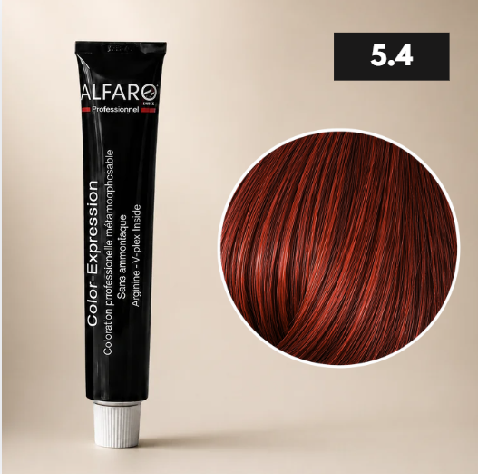 COLOR-EXPRESSION 5.4 CHATAIN CLAIR CUIVRE