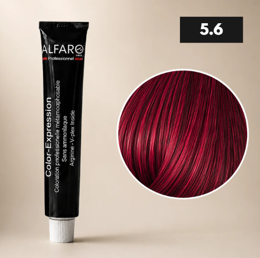 COLOR-EXPRESSION 5.6 CHATAIN CLAIR ROUGE