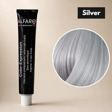 COLOR-EXPRESSION MIX ARGENT