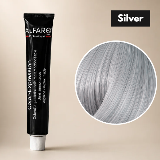 COLOR-EXPRESSION MIX ARGENT