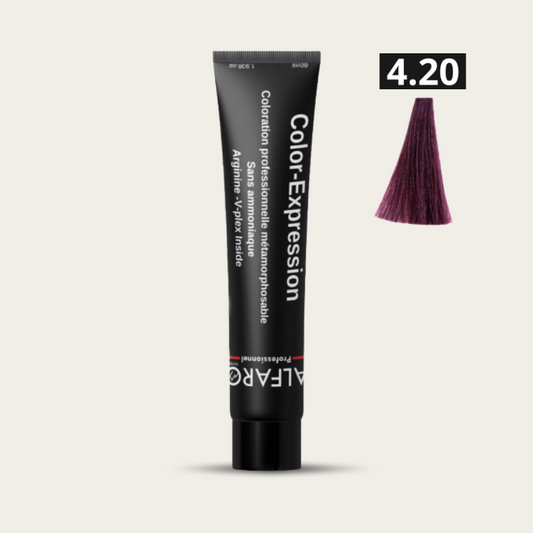 COLOR-EXPRESSION 4.20 CHATAIN VIOLINE